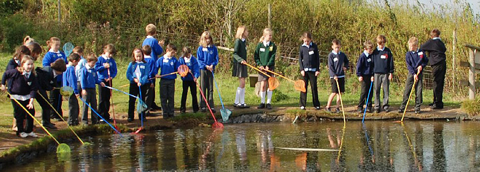 Pond Dipping