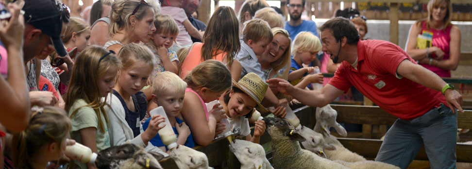 Jobs at Pennywell Farm, Buckfastleigh, Devon